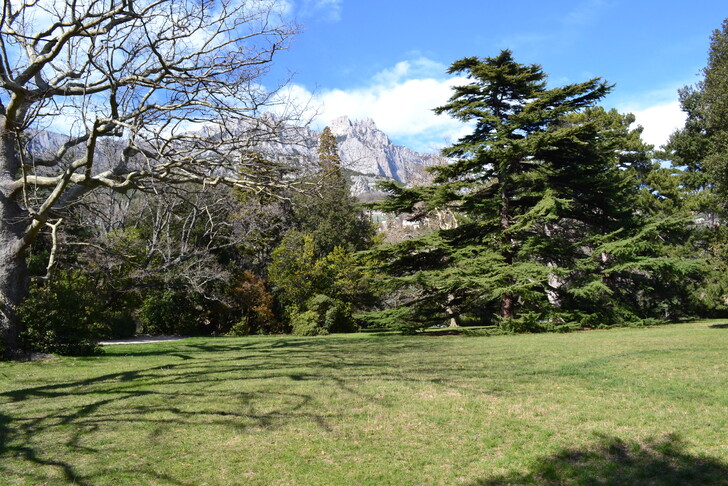 Алупкинский парк